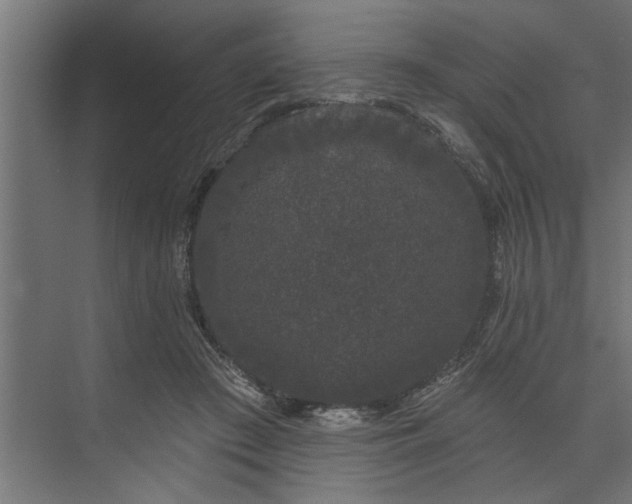 X0000073850409200608241048