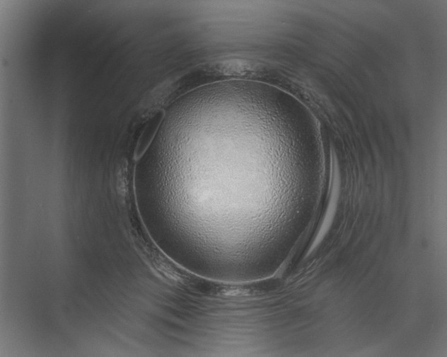 X0000073850413200608241048