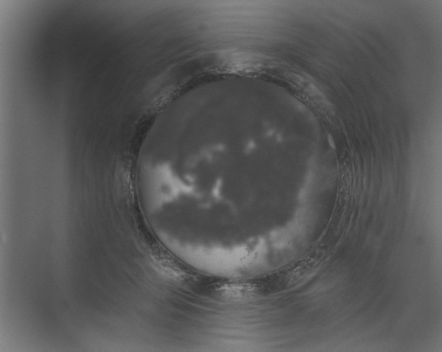 X0000073850415200608241048