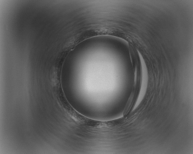 X0000073850416200608241048