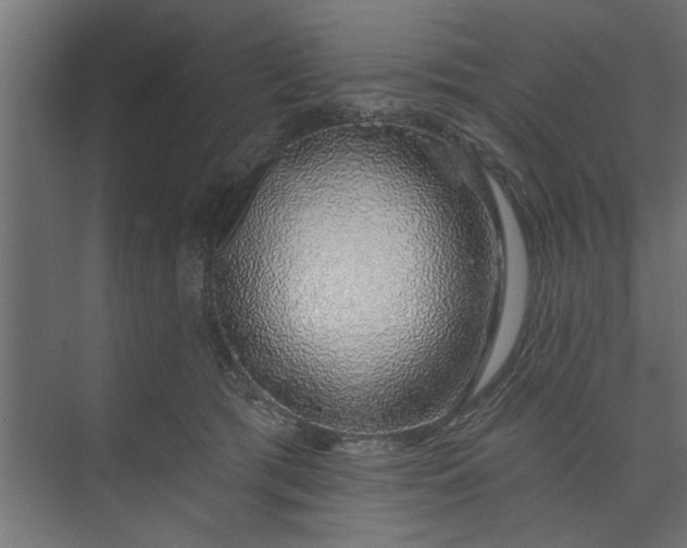 X0000073850417200608241048