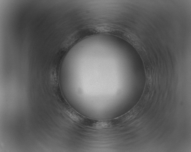 X0000073850418200608241048