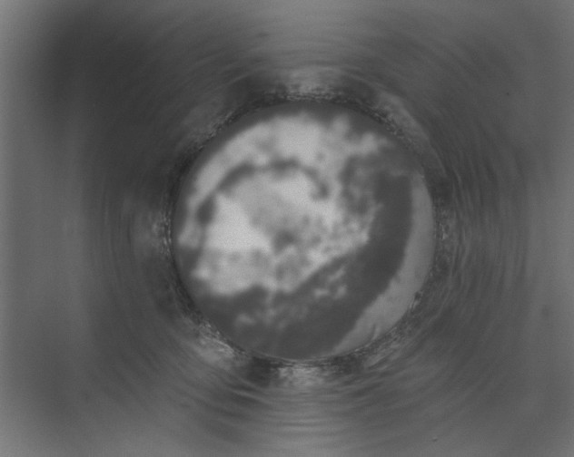 X0000073850419200608241048