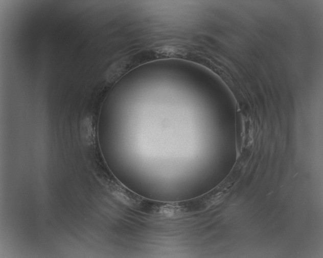 X0000073850420200608241048