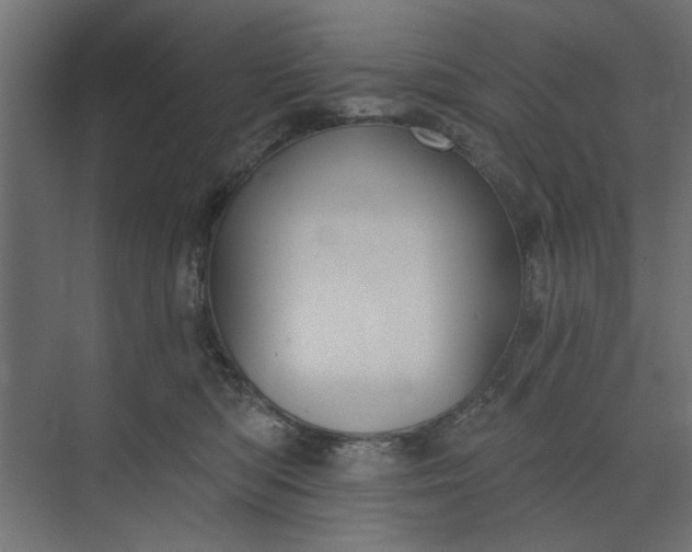 X0000073850422200608241047