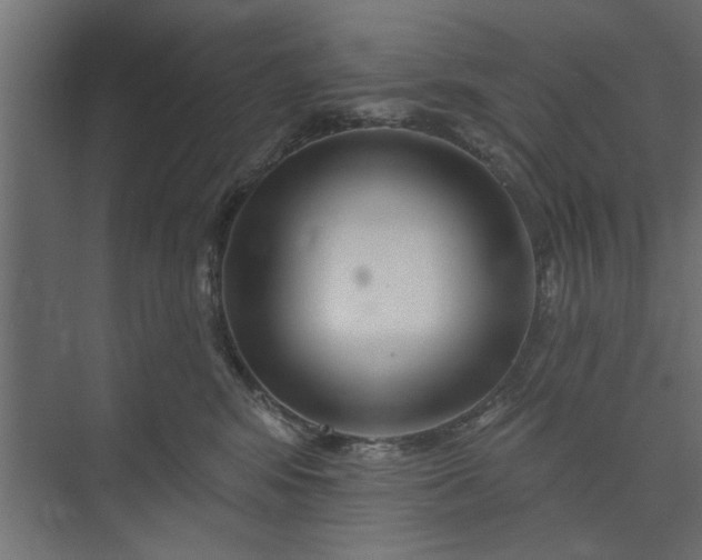 X0000073850424200608241047