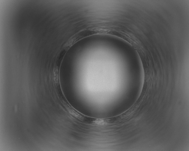 X0000073850425200608241047