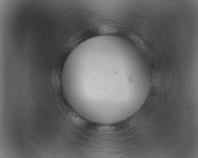 X0000073850426200608241047