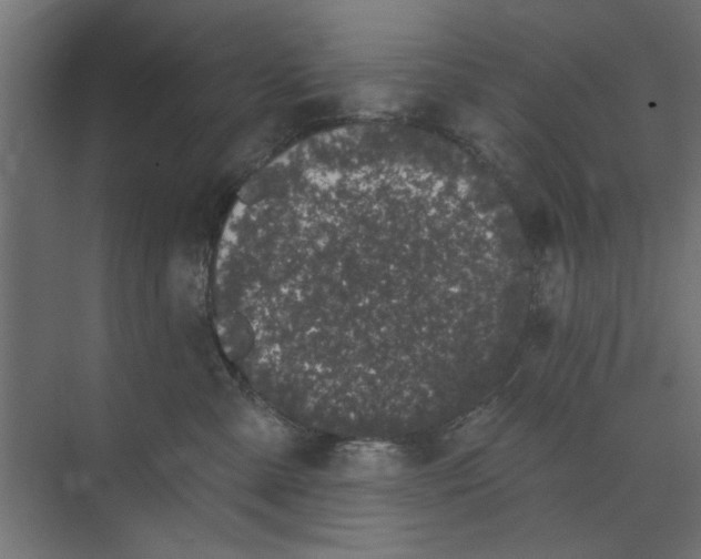 X0000073850427200608241047