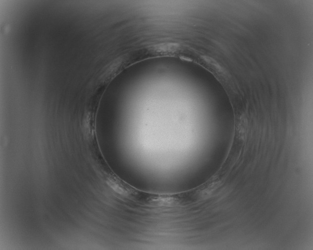 X0000073850428200608241047