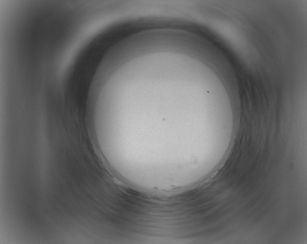 X0000073850431200608241047