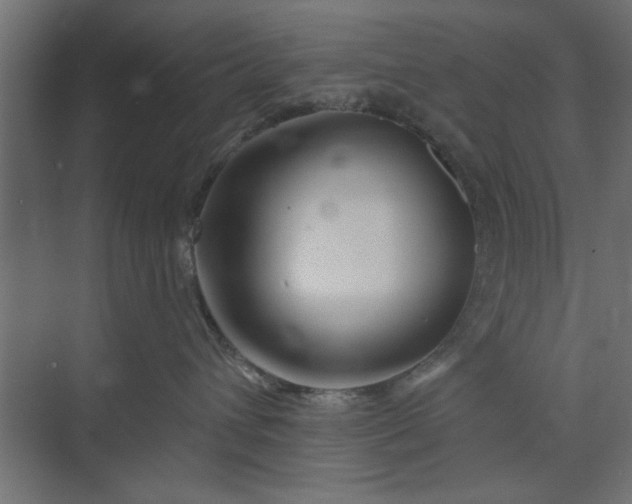 X0000073850432200608241047