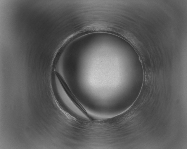 X0000073850438200608241047