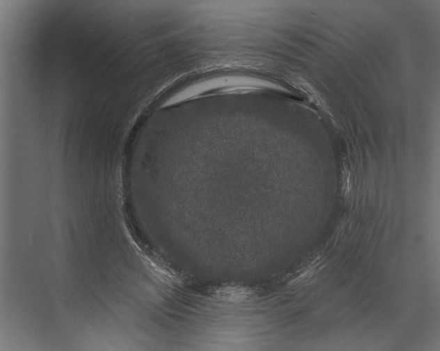 X0000073850444200608241047