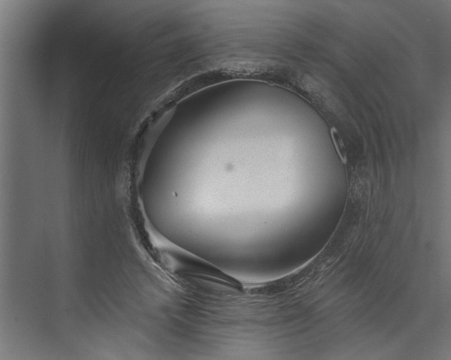 X0000073850448200608241047