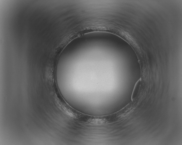 X0000073850449200608241047