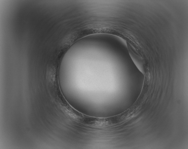 X0000073850458200608241047