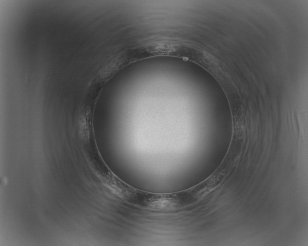 X0000073850460200608241047