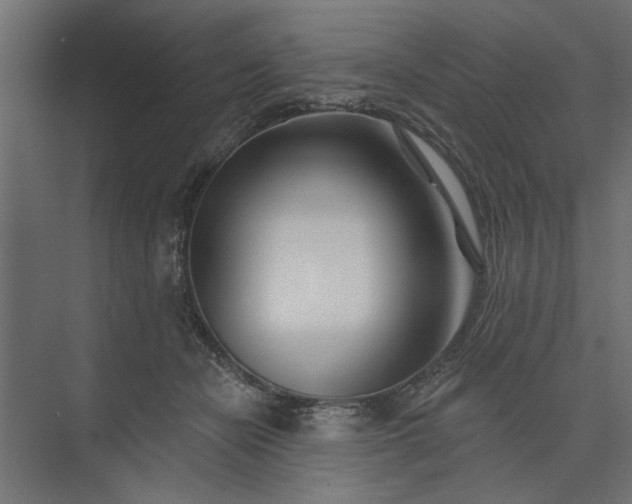 X0000073850462200608241047