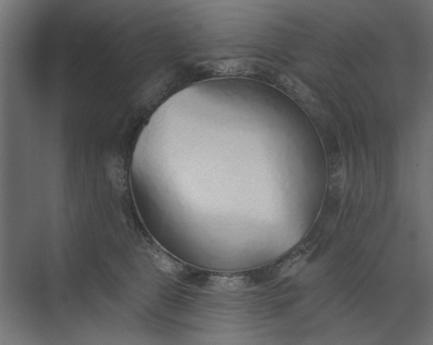 X0000073850469200608241047