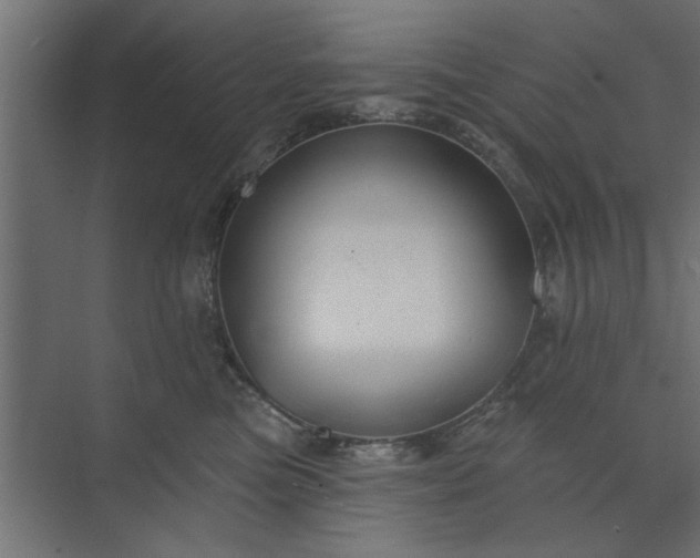 X0000073850473200608241047