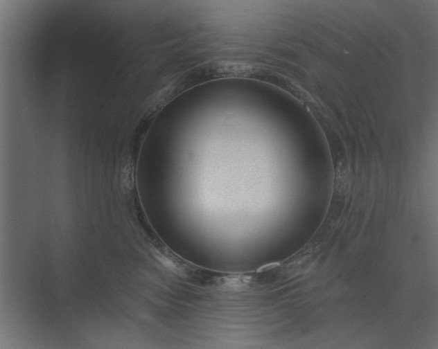 X0000073850474200608241047