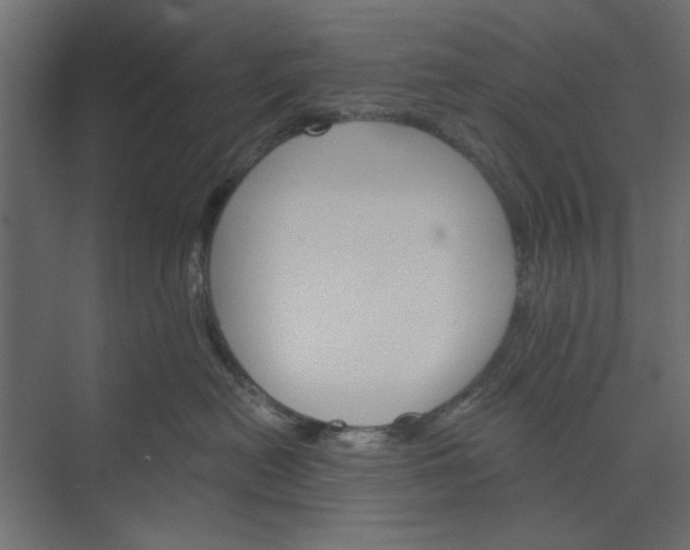 X0000073850478200608241047