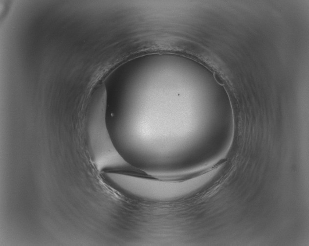 X0000073850481200608241046