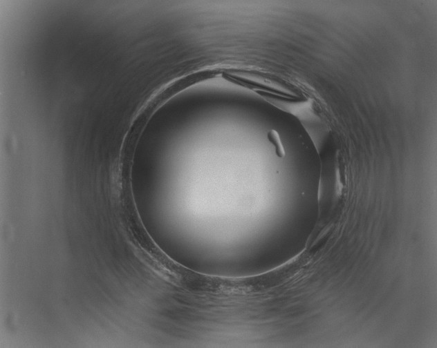 X0000073850484200608241046