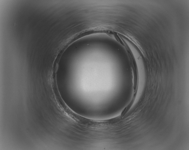 X0000073850485200608241046