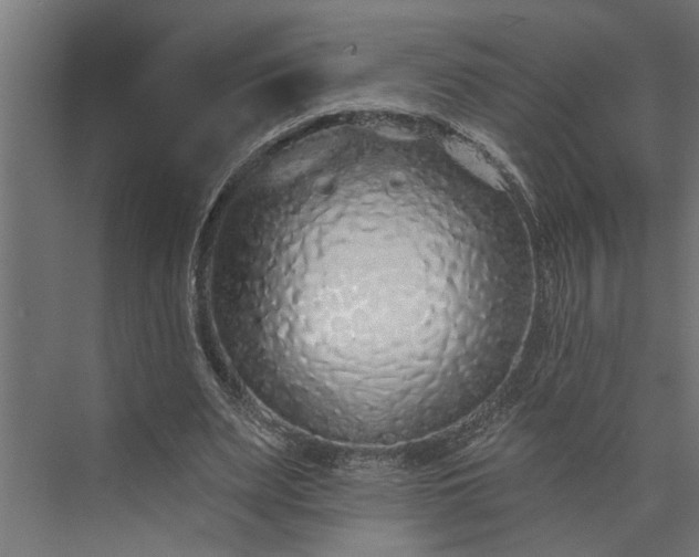 X0000073850487200608241046