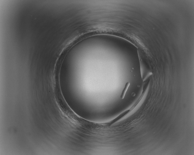 X0000073850488200608241046