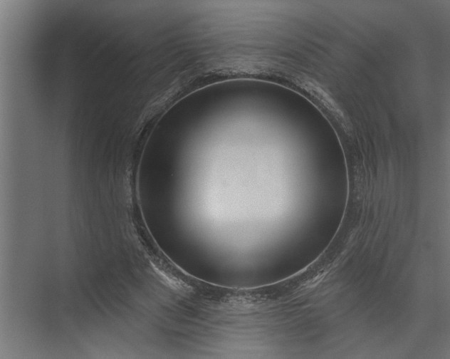 X0000073850489200608241046