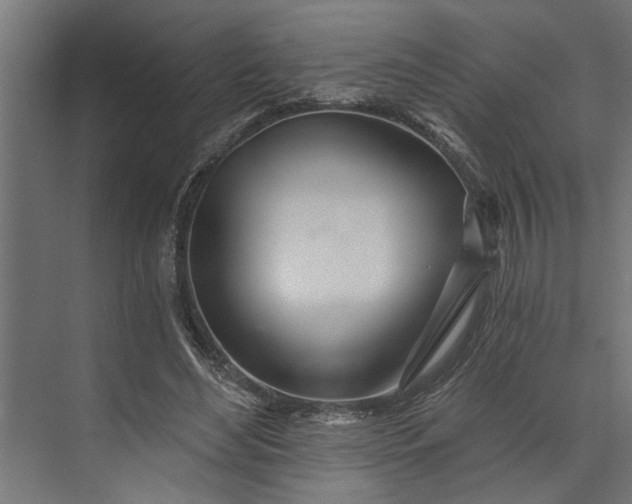 X0000073850492200608241046