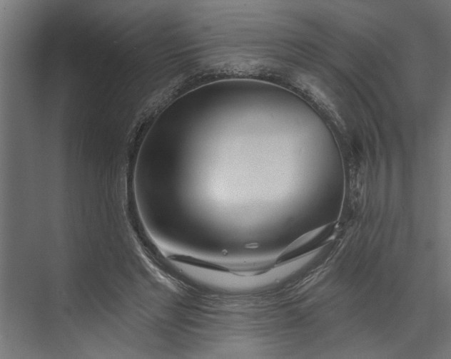 X0000073850493200608241046