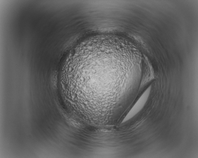 X0000073850495200608241046