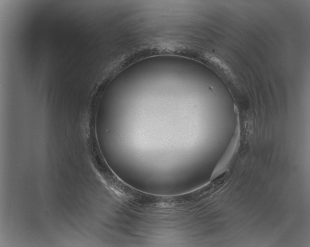 X0000073850496200608241046