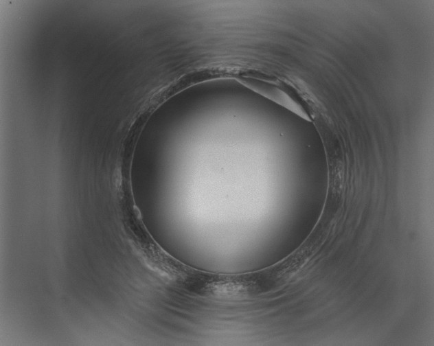 X0000073850500200608241046