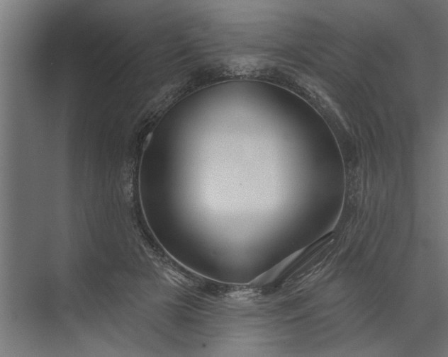 X0000073850505200608241046