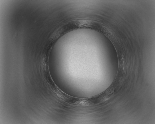 X0000073850506200608241046