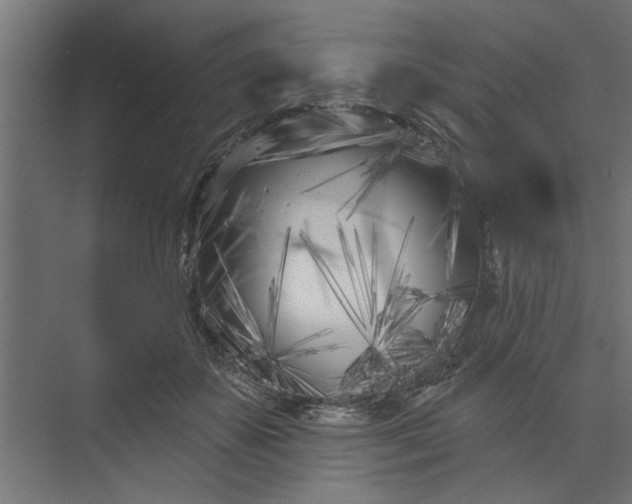 X0000073850507200608241046