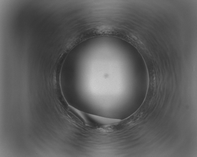 X0000073850508200608241046