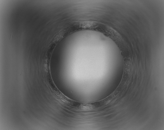 X0000073850510200608241046