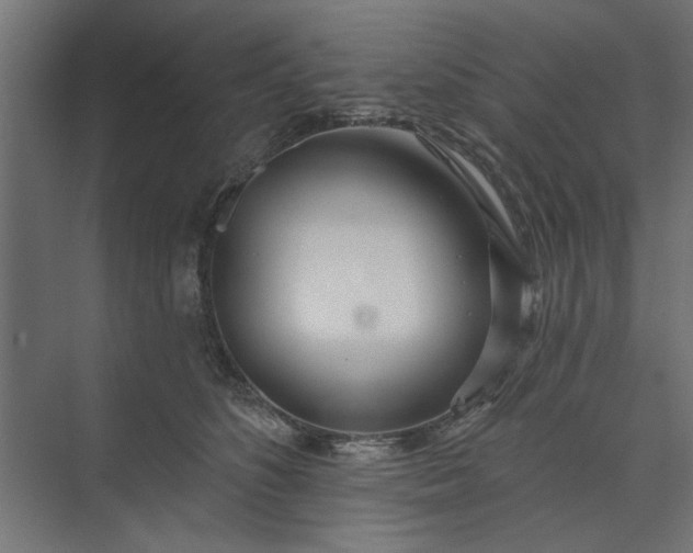 X0000073850516200608241046