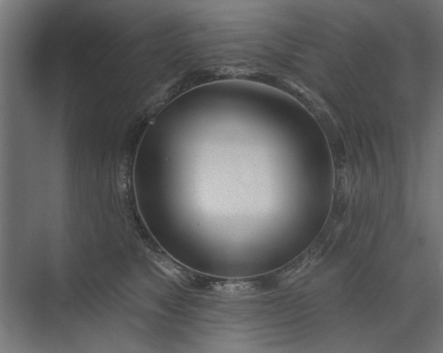 X0000073850517200608241046