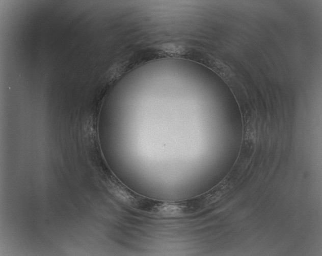 X0000073850518200608241046