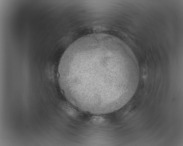 X0000073850519200608241046