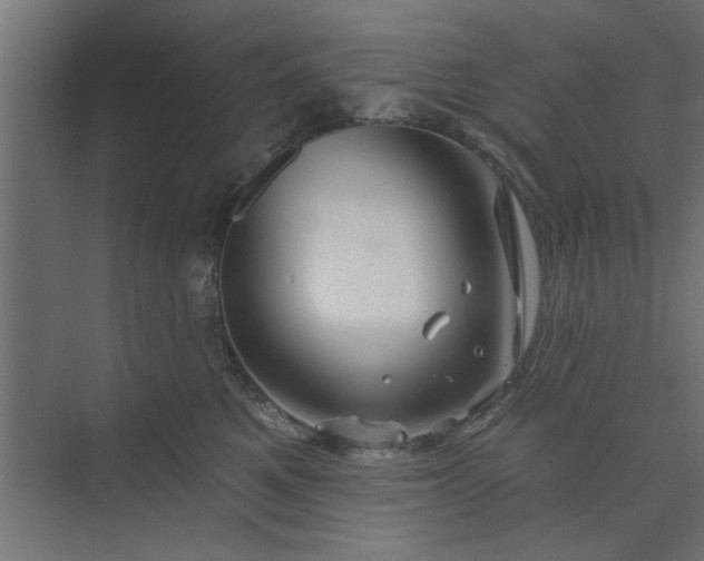 X0000073850521200608241046