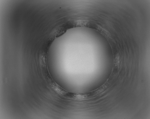 X0000073850522200608241046