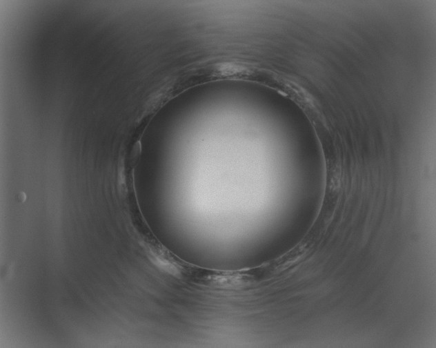 X0000073850524200608241046